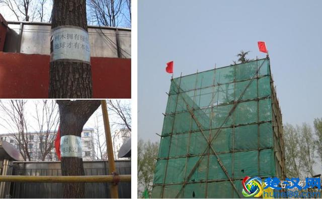 包含有什么措施消除外数慧查历史环保处罚的词条